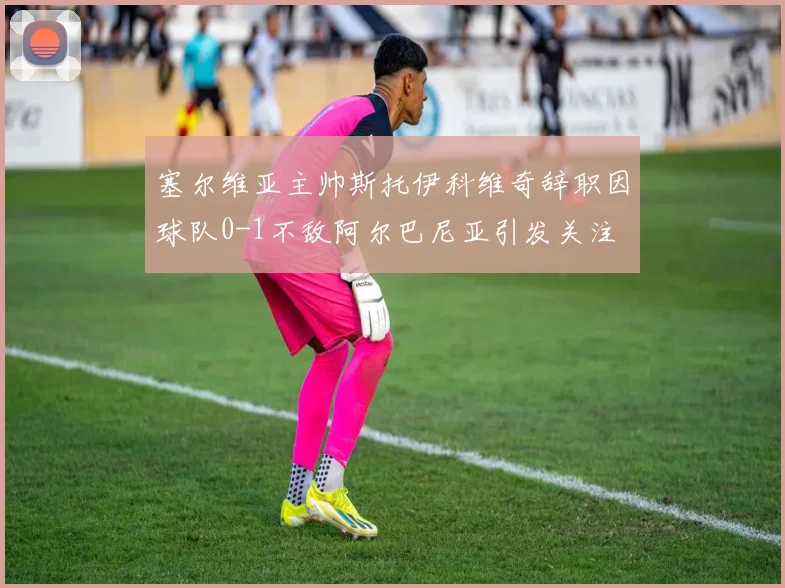 塞尔维亚主帅斯托伊科维奇辞职因球队0-1不敌阿尔巴尼亚引发关注